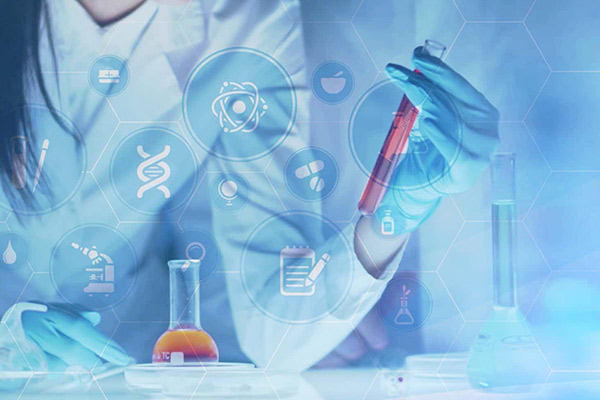 安全咨詢(xún)服務(wù)